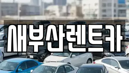 부산 중구 중앙동5가 렌트카 전문 새부산렌트카