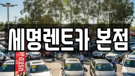 부산 중구 중앙동5가 렌트카 전문 세명렌트카 본점