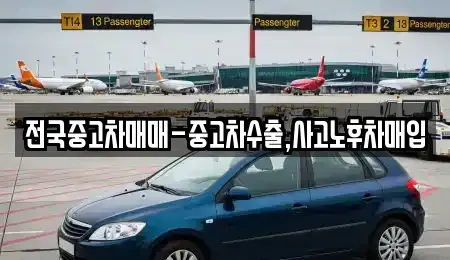 부산 중구 중앙동5가 중고차 전문 전국중고차매매-중고차수출,사고노후차매입