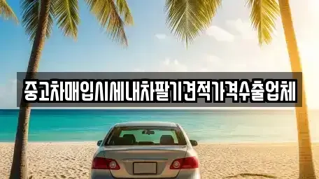 부산 중구 중앙동5가 중고차매입 전문 중고차매입시세내차팔기견적가격수출업체