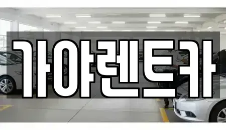 부산광역시 강서구 봉림동 렌트카 전문 가야렌트카