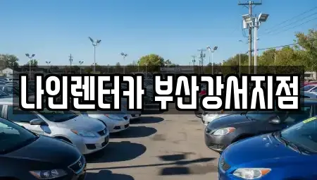 부산광역시 강서구 봉림동 렌트카 전문 나인렌터카 부산강서지점