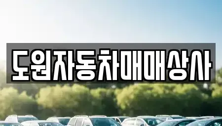 부산광역시 강서구 봉림동 중고차매매 전문 도원자동차매매상사