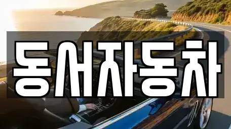 부산광역시 강서구 봉림동 중고차매매,단기렌트카,중고차매입,장기렌트카,중고차,렌트카