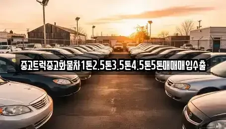 부산광역시 강서구 봉림동 중고차매입 전문 중고트럭중고화물차1톤2.5톤3.5톤4.5톤5톤매매매입수출