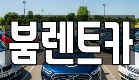 부산광역시 동래구 복천동 렌트카 전문 붐렌트카