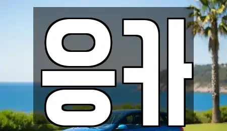 부산광역시 동래구 복천동 장기렌트카 전문 응카