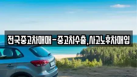 부산광역시 동래구 복천동 중고차매매 전문 전국중고차매매-중고차수출,사고노후차매입