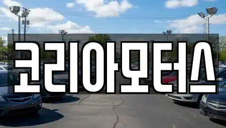 부산광역시 동래구 복천동 중고차매매 전문 코리아모터스