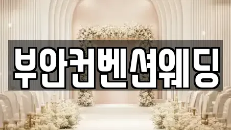 전북특별자치도 부안군 부안읍 웨딩컨설팅,웨딩메이크업,웨딩드레스,웨딩박람회,스드메,예식장 상세 5