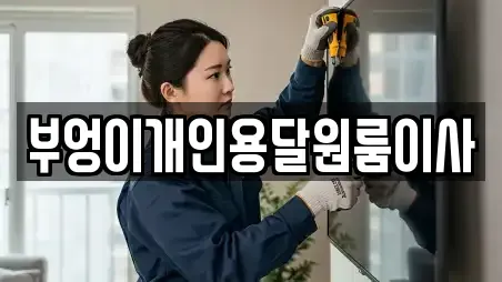 부엉이개인용달원룸이사