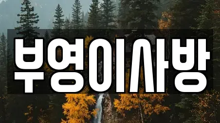 부영이사방