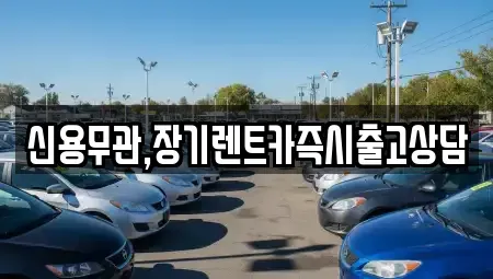 서울 강동구 둔촌동 장기렌트카 전문 신용무관,장기렌트카즉시출고상담
