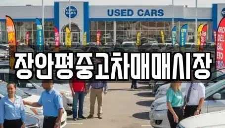 서울 강동구 둔촌동 중고차매매 전문 장안평중고차매매시장