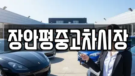 서울 강동구 둔촌동 중고차매매,단기렌트카,중고차매입,장기렌트카,중고차,렌트카