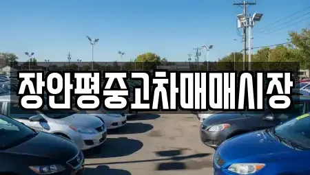 서울 강북구 미아동 중고차매매 전문 장안평중고차매매시장