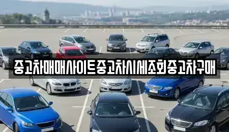 서울 성북구 성북동 중고차 전문 중고차매매사이트중고차시세조회중고차구매