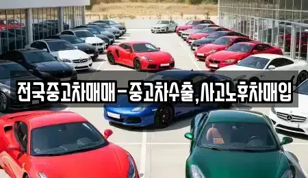 서울 성북구 성북동 중고차매입 전문 전국중고차매매-중고차수출,사고노후차매입