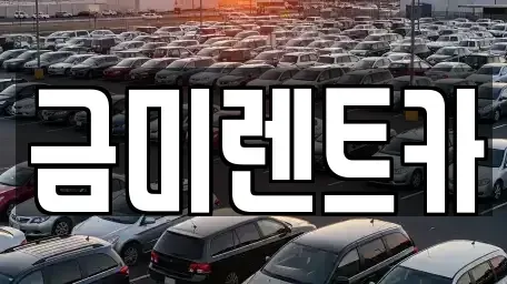 서울 영등포구 양평동1가 렌트카 전문 금미렌트카