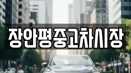 서울 종로구 팔판동 중고차 전문 장안평중고차시장