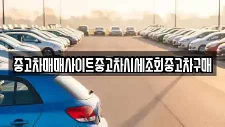서울 종로구 팔판동 중고차매매 전문 중고차매매사이트중고차시세조회중고차구매