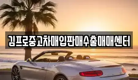 서울 종로구 팔판동 중고차매입 전문 김프로중고차매입판매수출매매센터