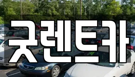 서울특별시 강남구 개포동 렌트카 전문 굿렌트카
