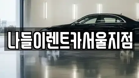 서울특별시 강남구 개포동 렌트카 전문 나들이렌트카서울지점