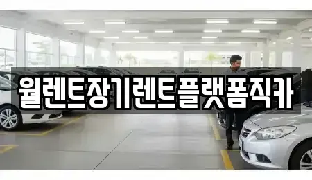 서울특별시 강남구 개포동 렌트카 전문 월렌트장기렌트플랫폼직카