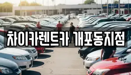 서울특별시 강남구 개포동 렌트카,단기렌트카,장기렌트카,중고차,중고차매매,중고차매입