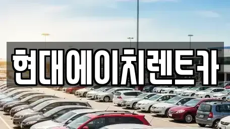 서울특별시 강남구 개포동 렌트카 전문 현대에이치렌트카
