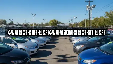 서울특별시 강남구 개포동 장기렌트카 전문 수입차렌트카슈퍼카렌트카수입차사고대차월렌트카장기렌트카