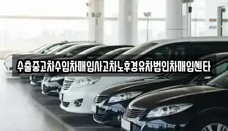 서울특별시 강남구 개포동 중고차 전문 수출중고차수입차매입사고차노후경유차법인차매입센타