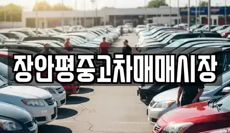 서울특별시 강남구 개포동 중고차 전문 장안평중고차매매시장