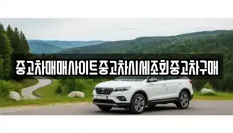 서울특별시 강남구 개포동 중고차 전문 중고차매매사이트중고차시세조회중고차구매