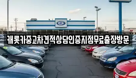 서울특별시 강남구 개포동 중고차 전문 캐롯카중고차견적상담인증지점무료출장방문