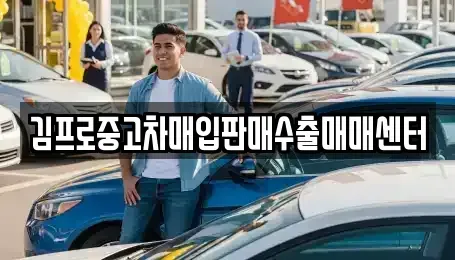 서울특별시 강남구 개포동 중고차매입 전문 김프로중고차매입판매수출매매센터