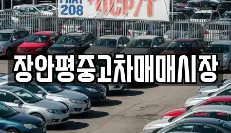 서울특별시 광진구 광장동 중고차 전문 장안평중고차매매시장