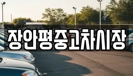 서울특별시 광진구 광장동 중고차 전문 장안평중고차시장