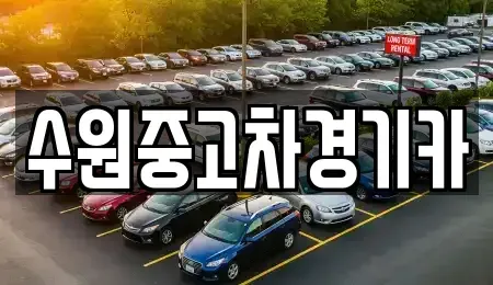 서울특별시 광진구 광장동 중고차매매 전문 수원중고차경기카