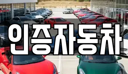 서울특별시 광진구 광장동 중고차매매 전문 인증자동차