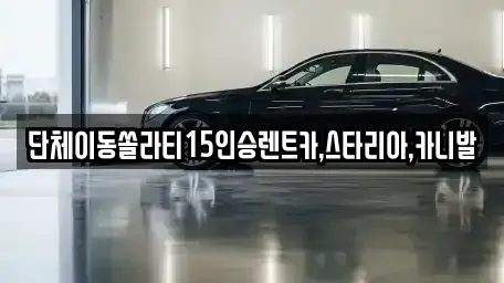 서울특별시 마포구 도화동 렌트카 전문 단체이동쏠라티15인승렌트카,스타리아,카니발