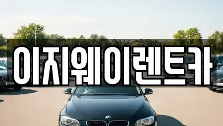 서울특별시 마포구 도화동 렌트카 전문 이지웨이렌트카