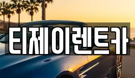 서울특별시 마포구 도화동 렌트카 전문 티제이렌트카