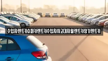 서울특별시 마포구 도화동 장기렌트카 전문 수입차렌트카슈퍼카렌트카수입차사고대차월렌트카장기렌트카
