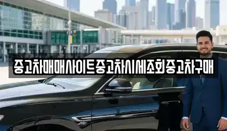 서울특별시 마포구 도화동 중고차 전문 중고차매매사이트중고차시세조회중고차구매