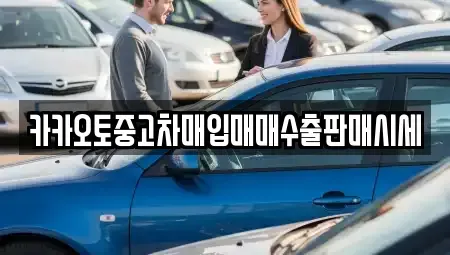 서울특별시 마포구 도화동 중고차 전문 카카오토중고차매입매매수출판매시세