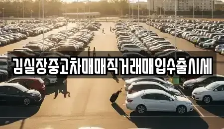 서울특별시 마포구 도화동 중고차매입 전문 김실장중고차매매직거래매입수출시세