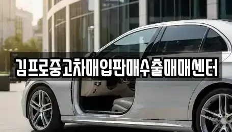 서울특별시 마포구 도화동 중고차매입 전문 김프로중고차매입판매수출매매센터
