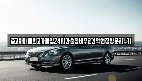 서울특별시 마포구 도화동 중고차매입 전문 중고차매매최고가매입24시간출장비무료견적현장방문지누카